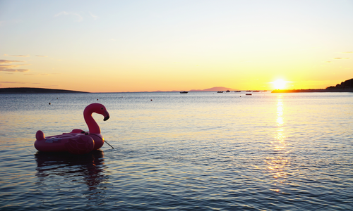 Finding Fulfillment in Automation