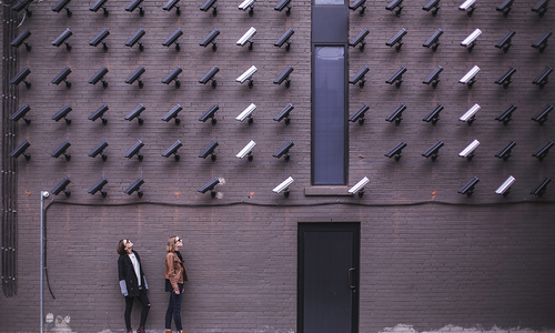Managing the Security Investment